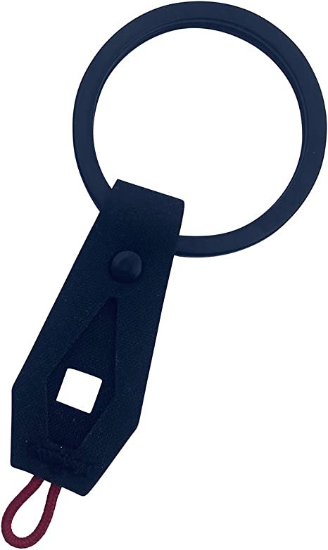 UTOPICAR Tesla Keychain